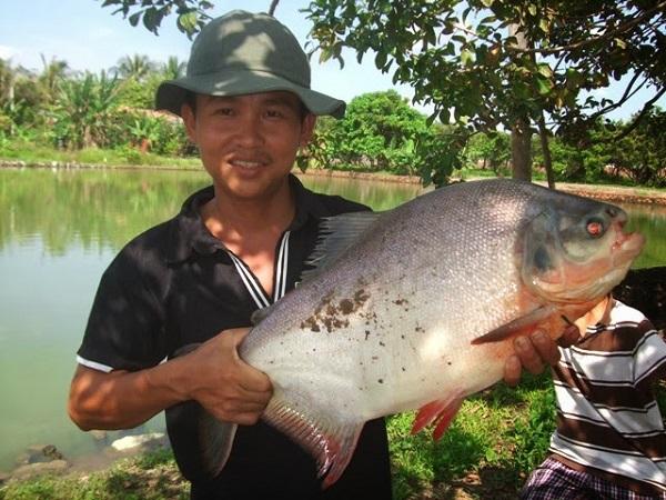 Nằm mơ thấy đi câu cá