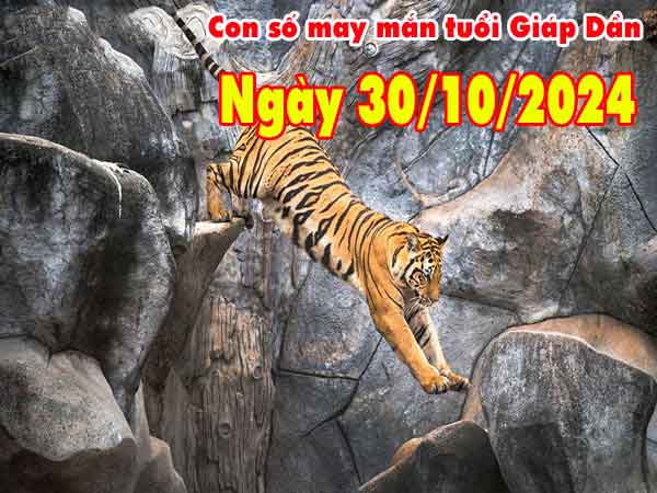 Con số may mắn tuổi Giáp Dần ngày 30/10/2024 thứ 4 hôm nay