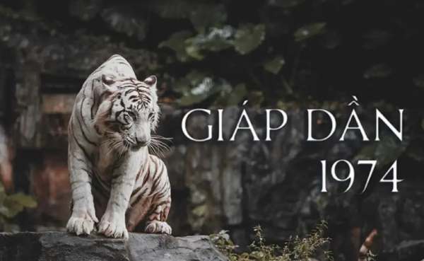 Giải mã số may mắn tuổi Giáp Dần 6/2/2025 hôm nay