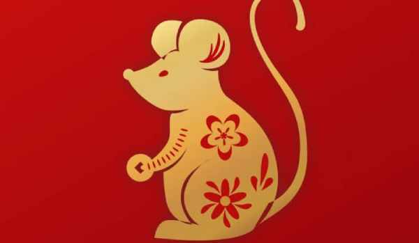Luận giải số phát tài tuổi Canh Tý 8/5/2025