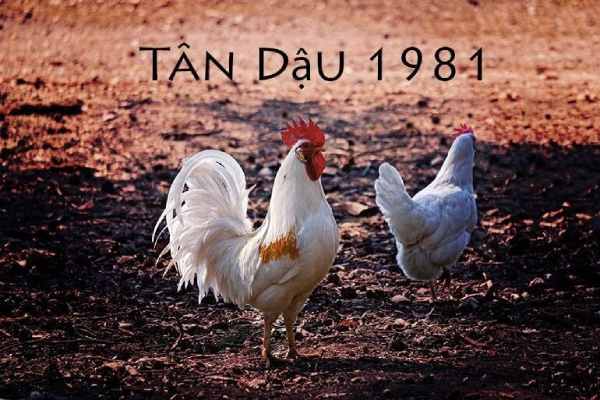 Bí mật con số đẹp tuổi Tân Dậu 22/5/2025 giúp đổi vận