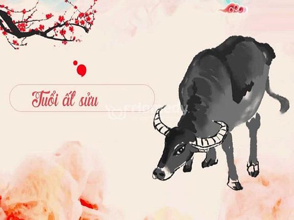 Vài nét về tuổi Ất Sửu hôm nay ngày 28/6/2025 thứ 7
