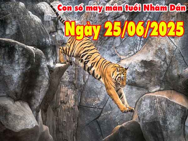 Con số tài lộc tuổi Nhâm Dần ngày 25/6/2025 thứ 4 hôm nay