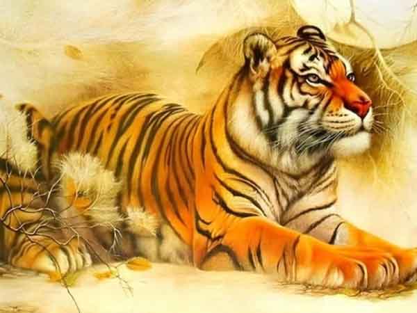 Vài nét về tuổi Bính Dần hôm nay ngày 25/7/2025 thứ 6