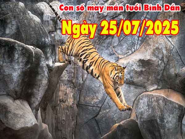 Con số tài lộc tuổi Bính Dần ngày 25/7/2025 thứ 6 hôm nay
