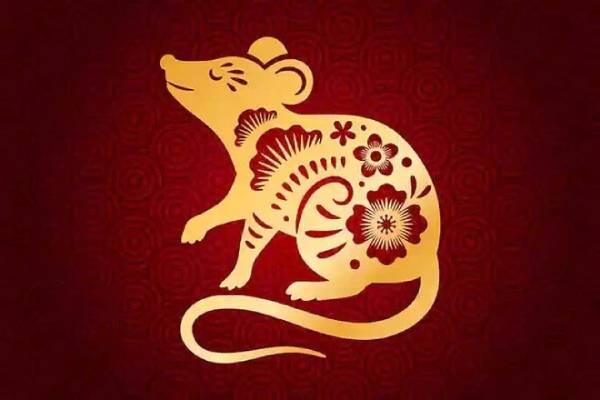 Đôi nét về vận trình tử vi tuổi Tý 29/8/2025