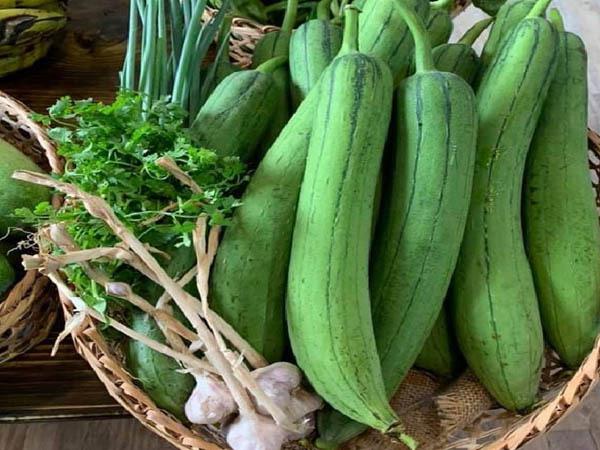 Liệu giấc mơ thấy quả mướp mang điềm lành hay rủi ro?