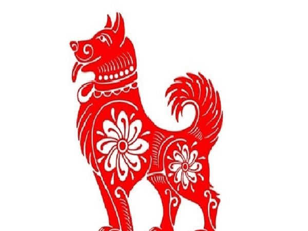  Con số may mắn tuổi Tuất 20/9/2025