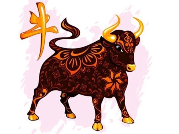 Con số may mắn tuổi Sửu ngày 11/10/2025 mang tài lộc