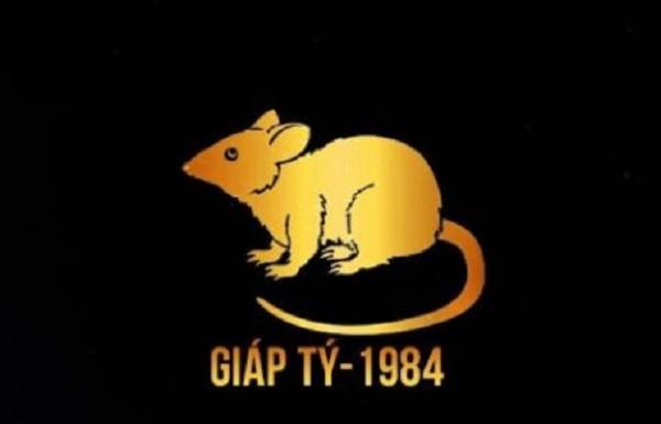 Tham khảo con số đẹp cho tuổi Giáp Tý 11/10/2025 