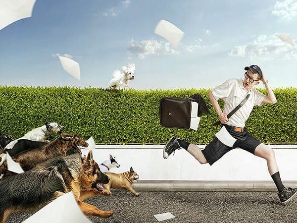 Chiêm bao thấy nhiều chó đuổi