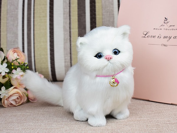 Mèo trắng số mấy, nằm mơ thấy mèo trắng là điềm gì?