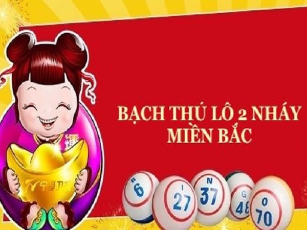 Bạch thủ lô 2 nháy là gì?