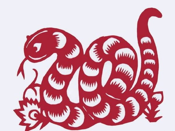 Tổng Quan Vận Trình Tuổi Tỵ Ngày 14/5/2026